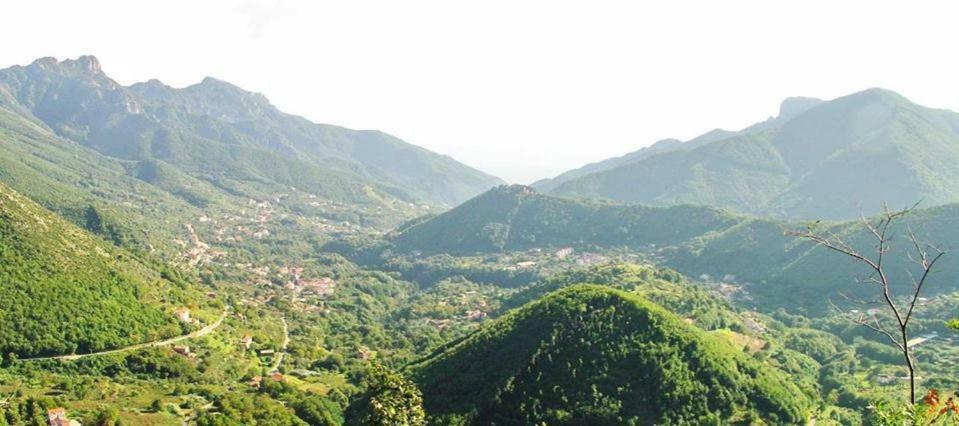 Casa Vacanza Daro ตรามอนติ ภายนอก รูปภาพ